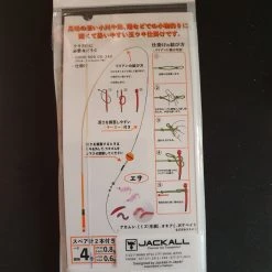Jackall Complete Fishing Rig
