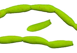 Angler's Emporium Berkley Gulp Euro Larvae Panfish Baits (100 Pack) Microfishing