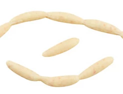 Angler's Emporium Berkley Gulp Euro Larvae Panfish Baits (100 Pack) Microfishing