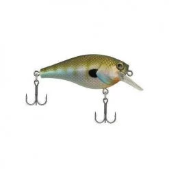 Berkley Pitbull Crankbait 11 Berkley Pitbull Crankbait