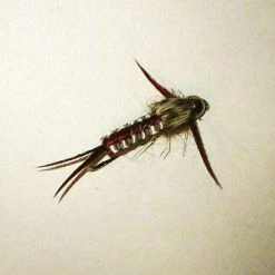 Angler's Emporium Bead Head Woven Stonefly Nymph