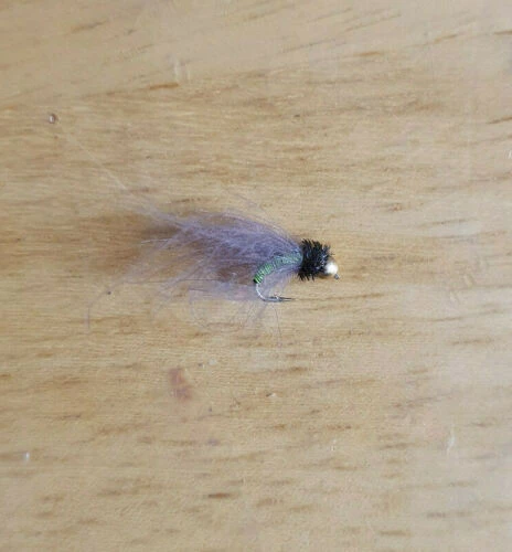 Angler's Emporium Bead Head Chartreuse Metallic Caddis Nymph 2 Angler's Emporium Bead Head Chartreuse Metallic Caddis Nymph