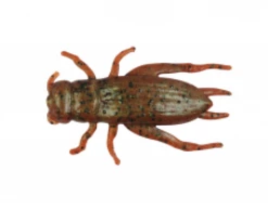 Angler's Emporium Berkley Gulp! Cricket Baits & Lures