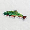 Wildship Studio Brook Trout Vinyl Sticker