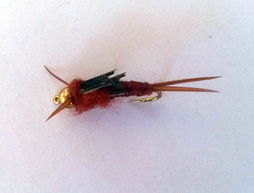 Angler's Emporium Kaufmann's Stone Fly Nymph 4 Angler's Emporium Kaufmann's Stone Fly Nymph