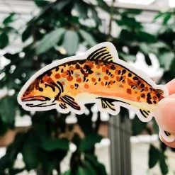 Wildship Studio Brown Trout Vinyl Sticker Accessories