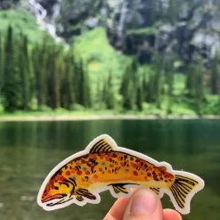 Wildship Studio Brown Trout Vinyl Sticker Accessories