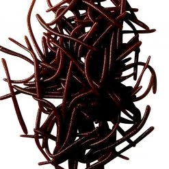 Angler's Emporium Baits & Lures Scented 2 3/8