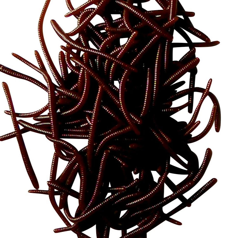 Angler's Emporium Unscented 2 3/8" Floating Trout Worms Baits & Lures 15 Angler's Emporium Unscented 2 3/8" Floating Trout Worms Baits & Lures