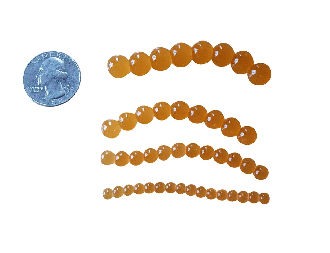 Angler's Emporium Baits & Lures Unscented Soft Custom Salmon Eggs 3 Angler's Emporium Baits & Lures Unscented Soft Custom Salmon Eggs