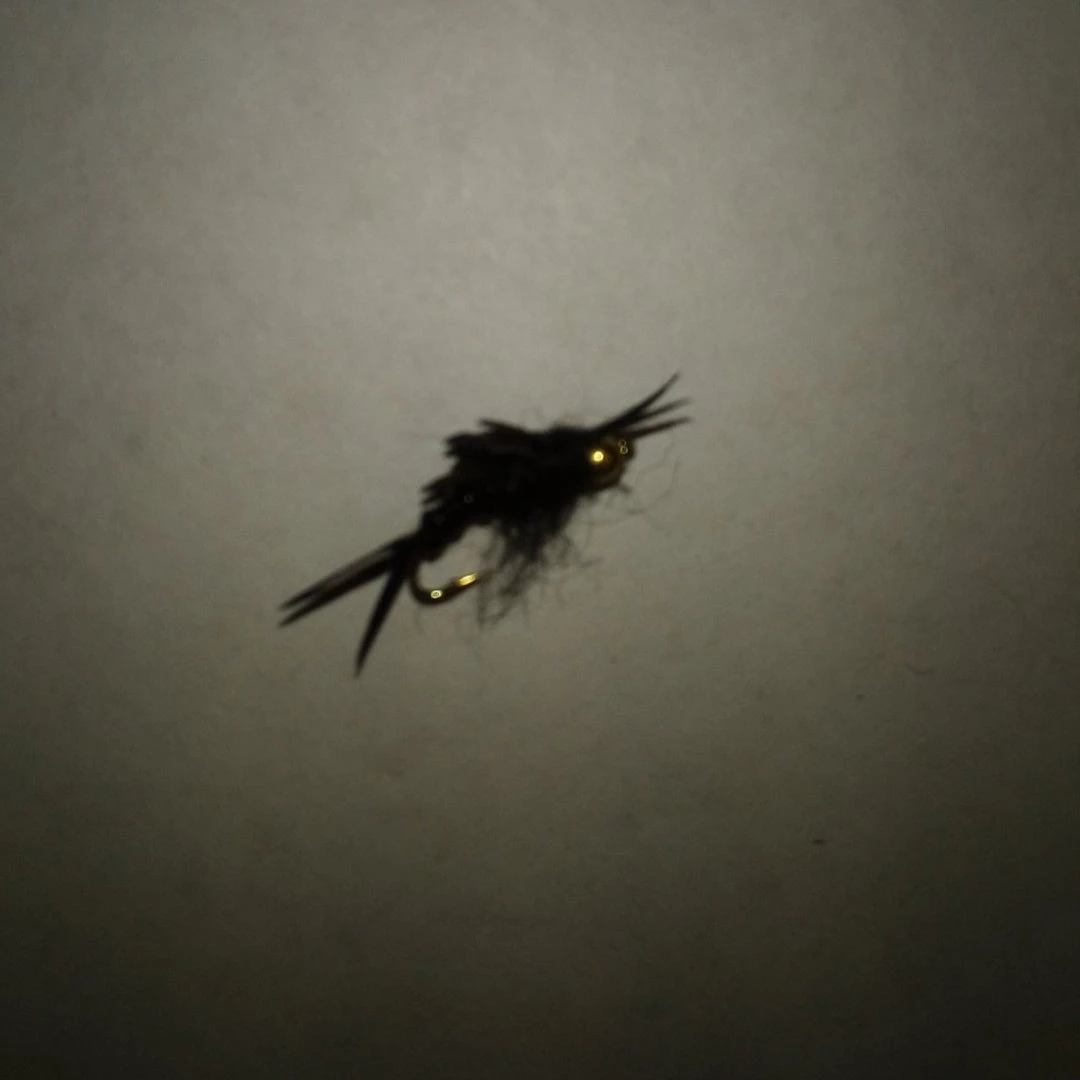 Angler's Emporium Bead Head Kaufmann's Stonefly Nymph Fly Fishing 1 Angler's Emporium Bead Head Kaufmann's Stonefly Nymph Fly Fishing