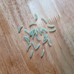 Angler's Emporium Baits & Lures Custom Soft Maggots 25 Angler's Emporium Baits & Lures Custom Soft Maggots