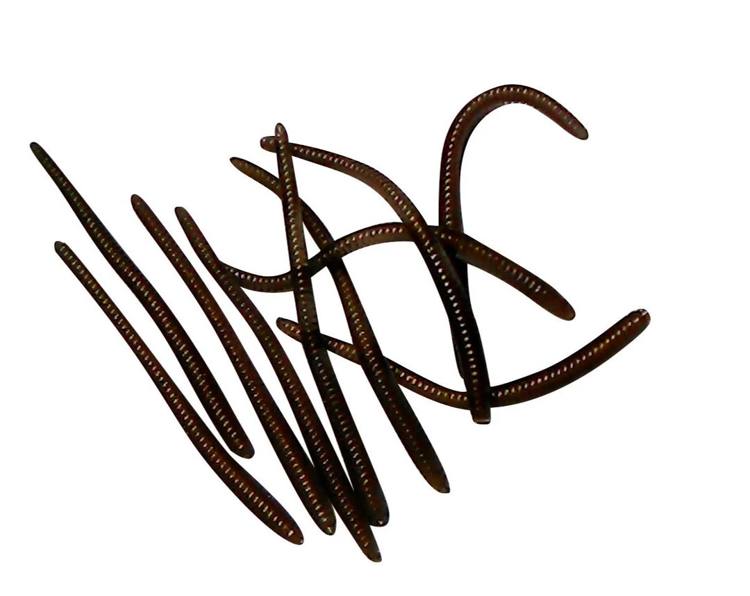 Angler's Emporium Unscented 2 3/8" Floating Trout Worms Baits & Lures 2 Angler's Emporium Unscented 2 3/8" Floating Trout Worms Baits & Lures