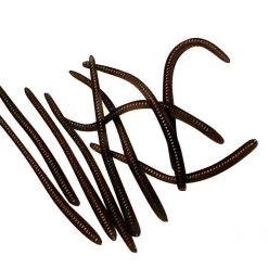 Angler's Emporium Unscented 3" Floating Trout Worms Baits & Lures