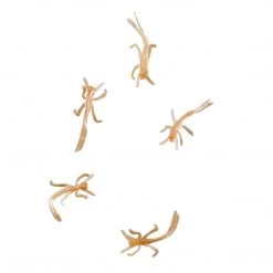 Angler's Emporium Custom 5/8