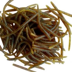 Angler's Emporium Unscented 2 3/8" Floating Trout Worms Baits & Lures 41 Angler's Emporium Unscented 2 3/8