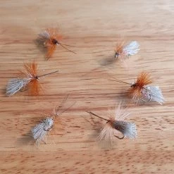 Angler's Emporium Fly Fishing Red Goddard Caddis Dry Fly