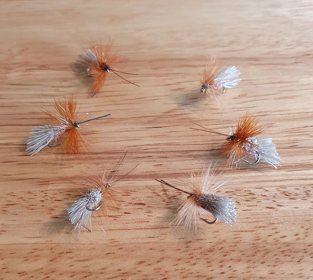Angler's Emporium Fly Fishing Red Goddard Caddis Dry Fly 2 Angler's Emporium Fly Fishing Red Goddard Caddis Dry Fly