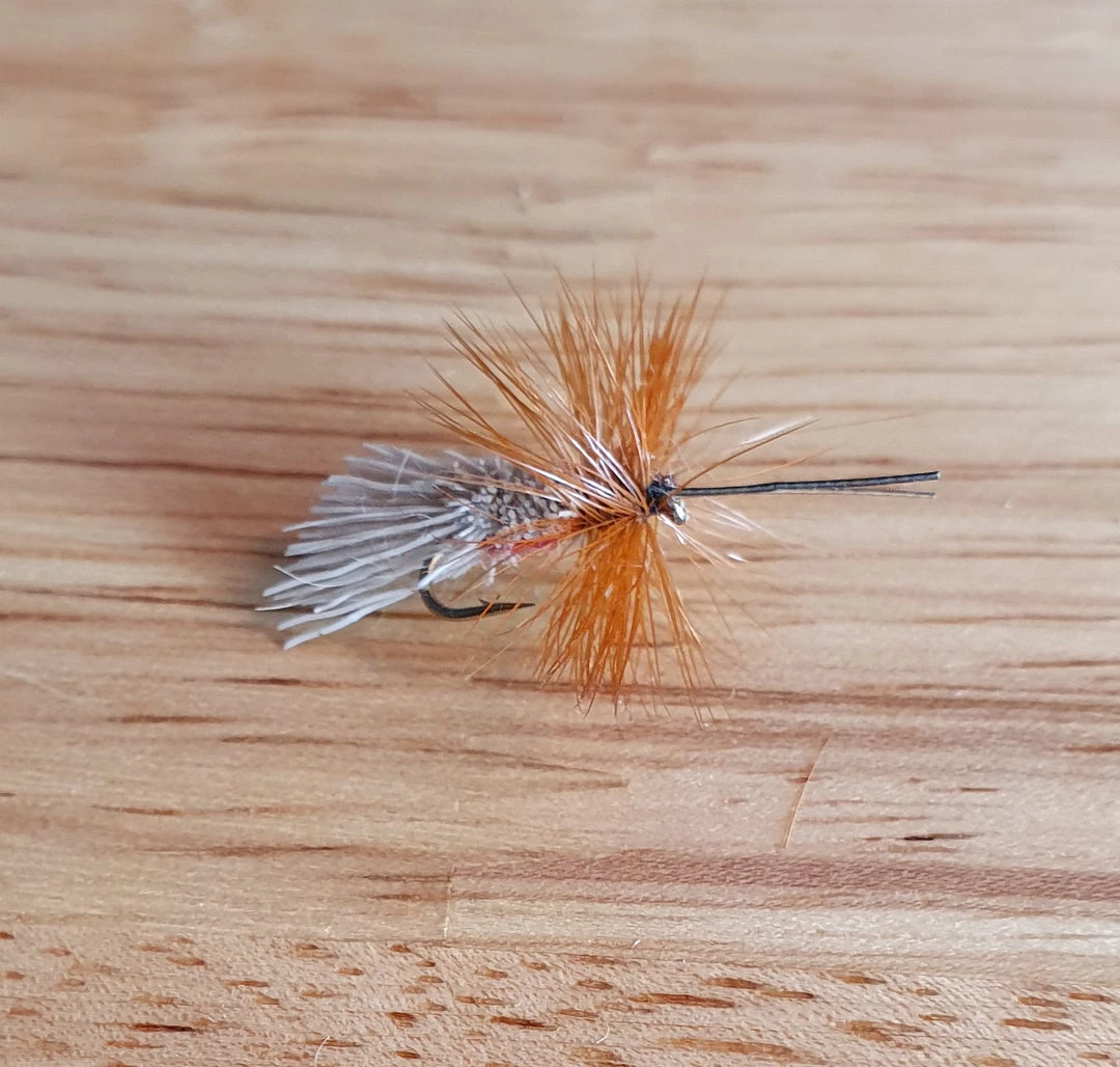 Angler's Emporium Fly Fishing Red Goddard Caddis Dry Fly 1 Angler's Emporium Fly Fishing Red Goddard Caddis Dry Fly