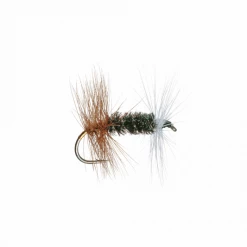 Angler's Emporium Fly Fishing Renegade Dry Fly