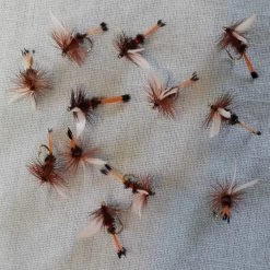 Angler's Emporium Fly Fishing Royal Coachman Dry Fly