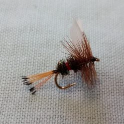 Angler's Emporium Fly Fishing Royal Coachman Dry Fly