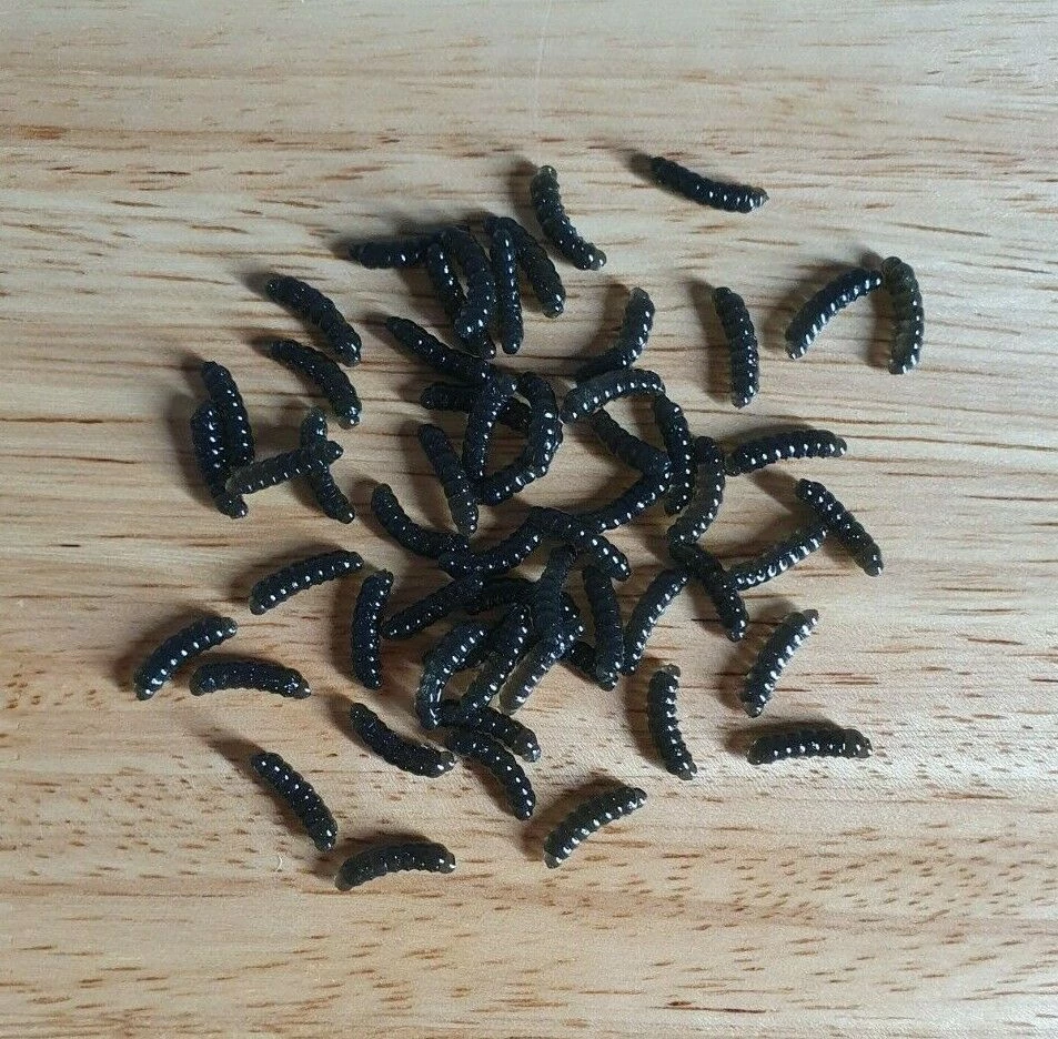 Angler's Emporium Baits & Lures Custom Soft Maggots 3 Angler's Emporium Baits & Lures Custom Soft Maggots