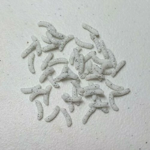 Angler's Emporium Baits & Lures Custom Soft Maggots 7 Angler's Emporium Baits & Lures Custom Soft Maggots