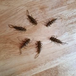 Angler's Emporium Custom 1.375