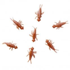 Angler's Emporium Custom 1" Multi Nymphs