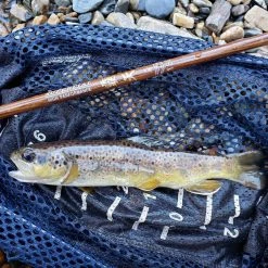 Angler's Emporium Supercial Carbon Telescopic Microfishing Rod