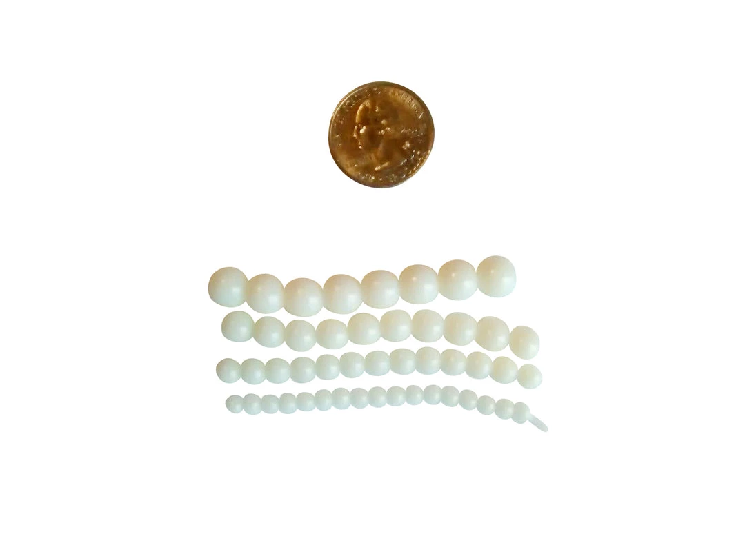 Angler's Emporium Baits & Lures Unscented Soft Custom Salmon Eggs 6 Angler's Emporium Baits & Lures Unscented Soft Custom Salmon Eggs