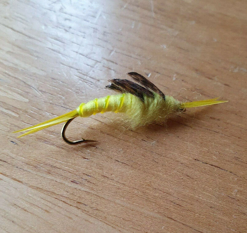 Angler's Emporium Kaufmann's Stone Fly Nymph 2 Angler's Emporium Kaufmann's Stone Fly Nymph